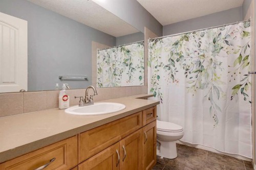 184 Cimarron Park Circle, Okotoks, AB - Indoor Photo Showing Bathroom
