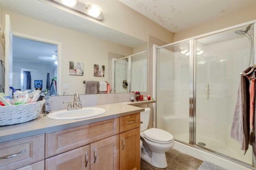 184 Cimarron Park Circle, Okotoks, AB - Indoor Photo Showing Bathroom