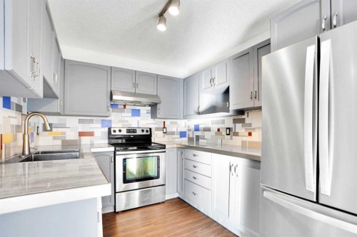 234 Taracove Place Ne, Calgary, AB - Indoor Photo Showing Kitchen With Stainless Steel Kitchen With Upgraded Kitchen