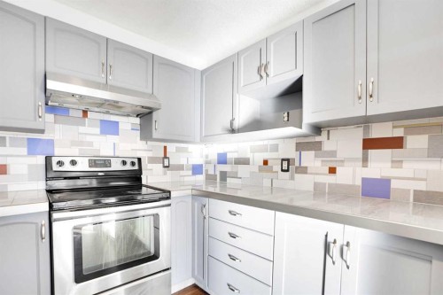 234 Taracove Place Ne, Calgary, AB - Indoor Photo Showing Kitchen