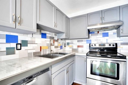 234 Taracove Place Ne, Calgary, AB - Indoor Photo Showing Kitchen With Stainless Steel Kitchen With Double Sink With Upgraded Kitchen