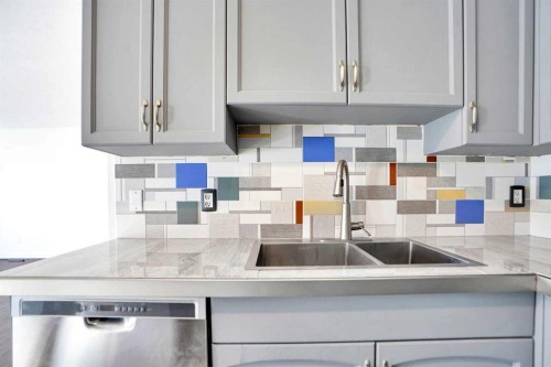 234 Taracove Place Ne, Calgary, AB - Indoor Photo Showing Kitchen With Double Sink With Upgraded Kitchen