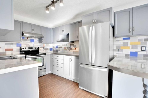 234 Taracove Place Ne, Calgary, AB - Indoor Photo Showing Kitchen With Stainless Steel Kitchen With Upgraded Kitchen