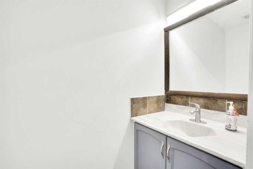 234 Taracove Place Ne, Calgary, AB - Indoor Photo Showing Bathroom