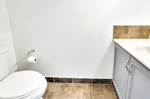 234 Taracove Place Ne, Calgary, AB - Indoor Photo Showing Bathroom