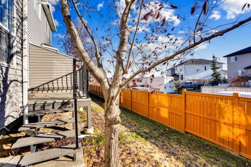 234 Taracove Place Ne, Calgary, AB - Outdoor
