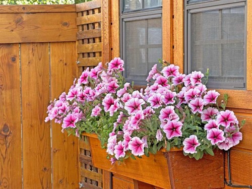 85 Bridleridge Road Sw, Calgary, AB - 