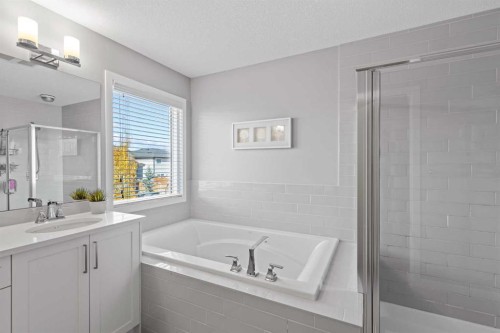 240 Cranbrook Circle Se, Calgary, AB - Indoor Photo Showing Bathroom