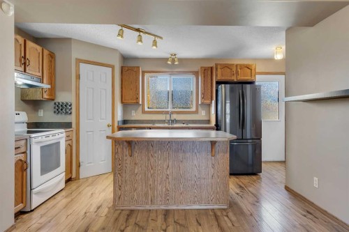87 Coventry Road Ne, Calgary, AB - Indoor Photo Showing Kitchen With Double Sink