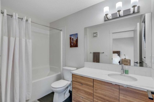 941 Cobblemore Common Sw, Airdrie, AB - Indoor Photo Showing Bathroom