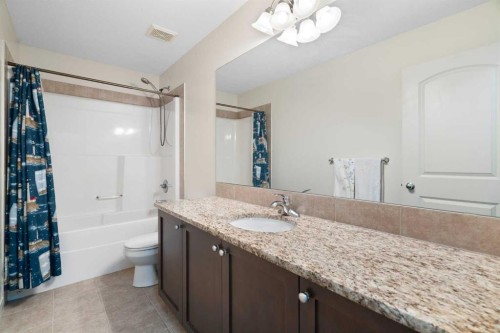 47 Copperstone Mews Se, Calgary, AB - Indoor Photo Showing Bathroom