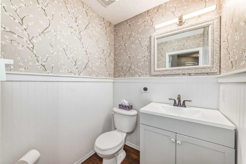 344 Copperfield Boulevard Se, Calgary, AB - Indoor Photo Showing Bathroom