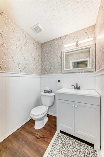 344 Copperfield Boulevard Se, Calgary, AB - Indoor Photo Showing Bathroom