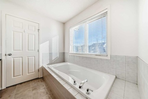 344 Copperfield Boulevard Se, Calgary, AB - Indoor Photo Showing Bathroom