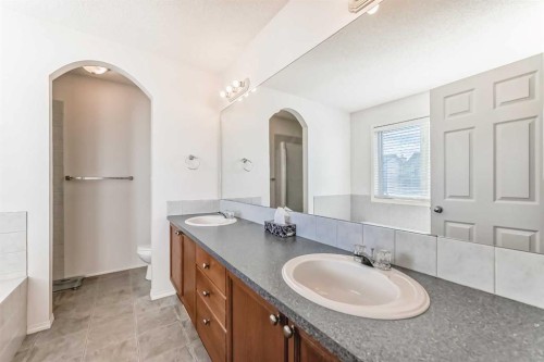 344 Copperfield Boulevard Se, Calgary, AB - Indoor Photo Showing Bathroom
