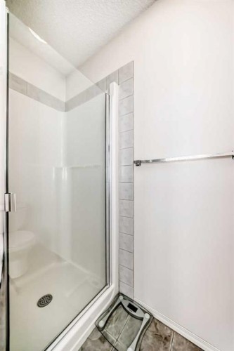 344 Copperfield Boulevard Se, Calgary, AB - Indoor Photo Showing Bathroom