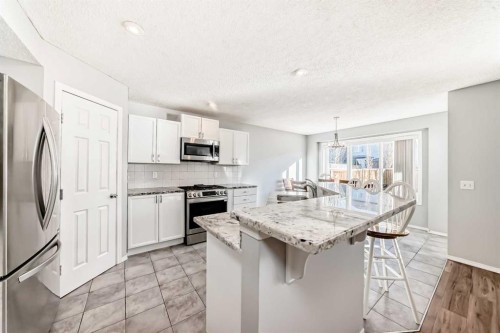 344 Copperfield Boulevard Se, Calgary, AB - Indoor Photo Showing Kitchen With Upgraded Kitchen