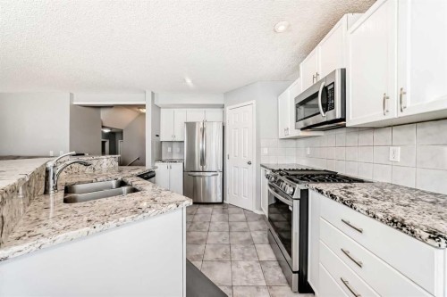 344 Copperfield Boulevard Se, Calgary, AB - Indoor Photo Showing Kitchen With Double Sink With Upgraded Kitchen