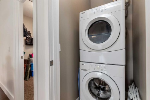 308-1899 45 Street Nw, Calgary, AB - Indoor Photo Showing Laundry Room