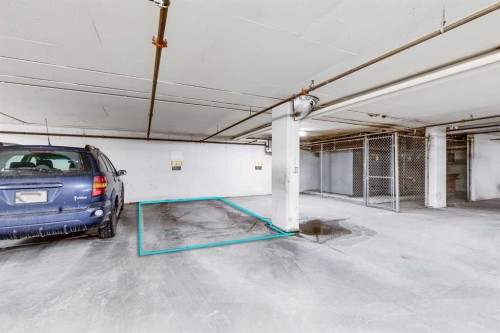 308-1899 45 Street Nw, Calgary, AB - Indoor Photo Showing Garage