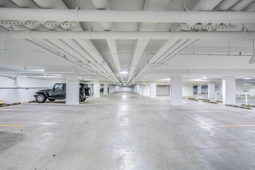 1305-60 Skyview Ranch Road Ne, Calgary, AB - Indoor Photo Showing Garage