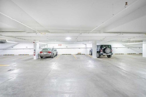 1305-60 Skyview Ranch Road Ne, Calgary, AB - Indoor Photo Showing Garage