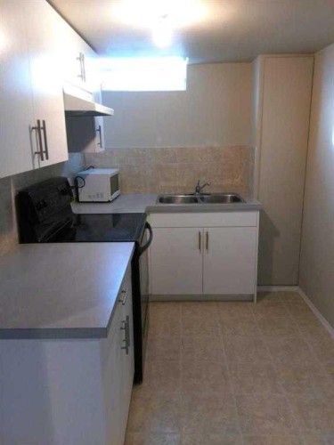 3715 14 Street Nw, Calgary, AB - Indoor Photo Showing Kitchen With Double Sink