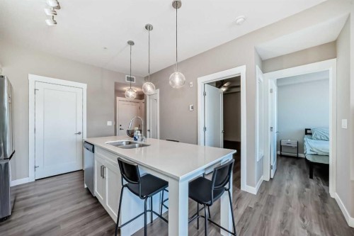 207-40 Walgrove Walk Se, Calgary, AB - Indoor Photo Showing Kitchen With Double Sink