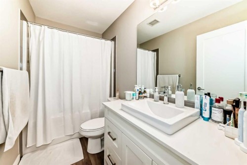 207-40 Walgrove Walk Se, Calgary, AB - Indoor Photo Showing Bathroom