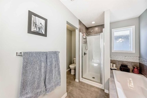 4 Bethune Way, Carstairs, AB - Indoor Photo Showing Bathroom