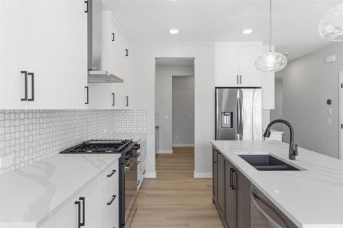 132 Lewiston Drive Ne, Calgary, AB - Indoor Photo Showing Kitchen With Double Sink With Upgraded Kitchen