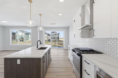 132 Lewiston Drive Ne, Calgary, AB - Indoor Photo Showing Kitchen With Upgraded Kitchen