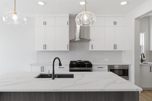 132 Lewiston Drive Ne, Calgary, AB - Indoor Photo Showing Kitchen With Double Sink With Upgraded Kitchen