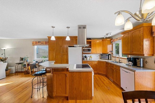 7 Bernard Court Nw, Calgary, AB - Indoor Photo Showing Kitchen With Double Sink