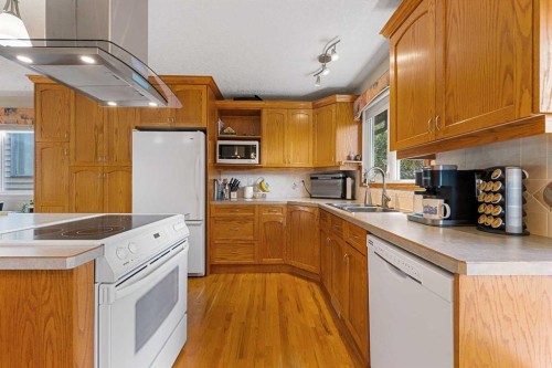 7 Bernard Court Nw, Calgary, AB - Indoor Photo Showing Kitchen With Double Sink