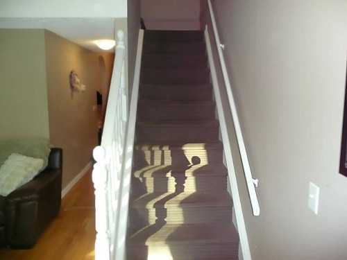 54-6020 Temple Drive Ne, Calgary, AB - Indoor Photo Showing Other Room