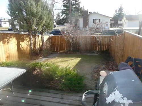 54-6020 Temple Drive Ne, Calgary, AB - Outdoor