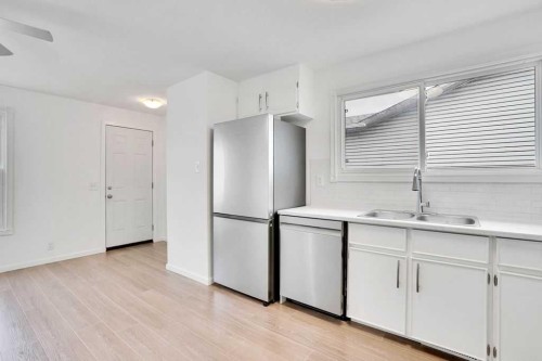 56 Castleglen Crescent Ne, Calgary, AB - Indoor Photo Showing Kitchen With Double Sink