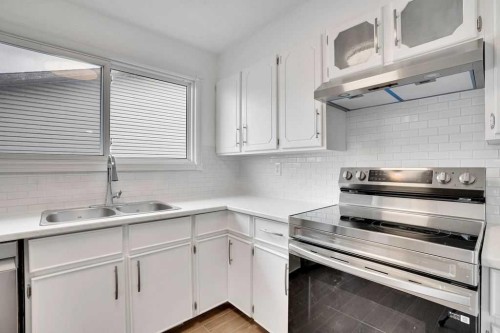 56 Castleglen Crescent Ne, Calgary, AB - Indoor Photo Showing Kitchen With Double Sink