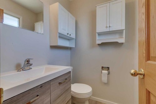 2823 Dover Ridge Drive Se, Calgary, AB - Indoor Photo Showing Bathroom
