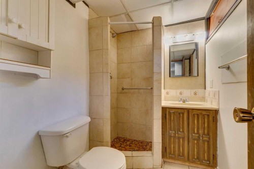 2823 Dover Ridge Drive Se, Calgary, AB - Indoor Photo Showing Bathroom