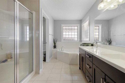 16 Redstone Parade Ne, Calgary, AB - Indoor Photo Showing Bathroom