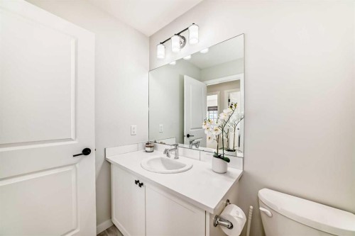 26 Lavender Drive Se, Calgary, AB - Indoor Photo Showing Bathroom