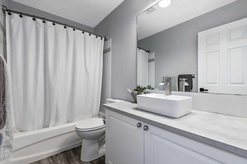 60 Cimarron Meadows Road, Okotoks, AB - Indoor Photo Showing Bathroom