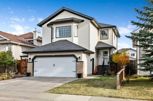 60 Cimarron Meadows Road, Okotoks, AB - Outdoor