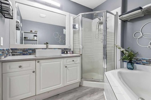 60 Cimarron Meadows Road, Okotoks, AB - Indoor Photo Showing Bathroom