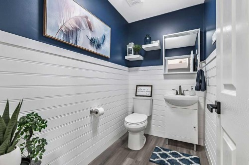 60 Cimarron Meadows Road, Okotoks, AB - Indoor Photo Showing Bathroom