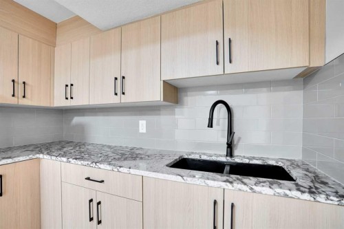 6116 Buckthorn Road Nw, Calgary, AB - Indoor Photo Showing Kitchen With Double Sink With Upgraded Kitchen