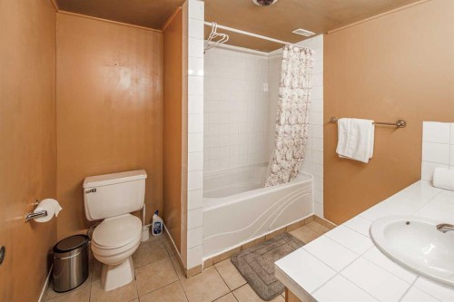 112 Shawmeadows Crescent Sw, Calgary, AB - Indoor Photo Showing Bathroom