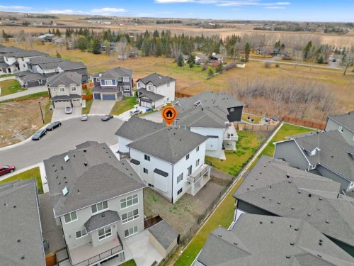 327 Kinniburgh Place, Chestermere, AB - Outdoor With View